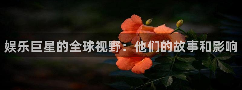 one游戏官网：娱乐巨星的全球视野：他们的故事和影响