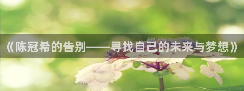 one游戏官网：《陈冠希的告别——寻找自己的未来与梦想》