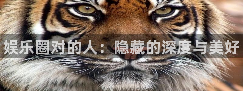 one游戏体育平台：娱乐圈对的人：隐藏的深度与美好