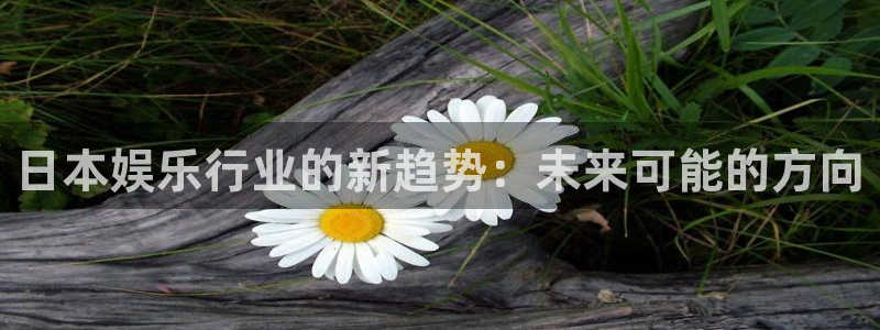 one游戏：日本娱乐行业的新趋势：未来可能的方向