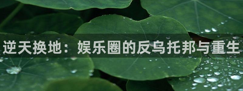 one游戏网站：逆天换地：娱乐圈的反乌托邦与重生