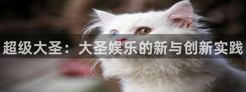 one游戏：超级大圣：大圣娱乐的新与创新实践